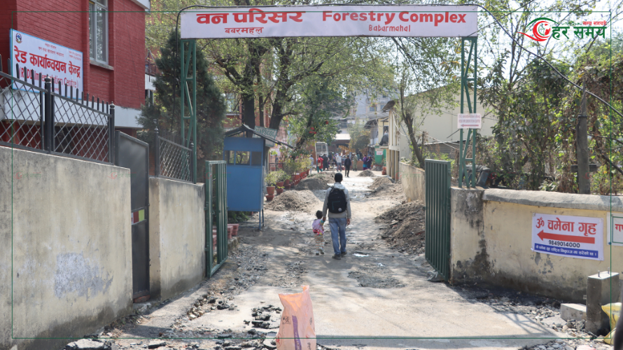 Babarmahal-Road-Duban-7-1739439041.png