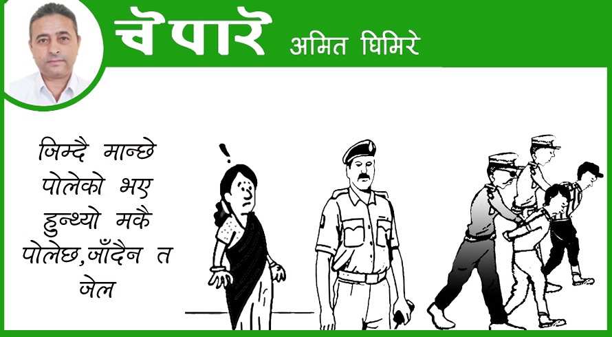 कार्टुन : मकै पोल्दा जेल!