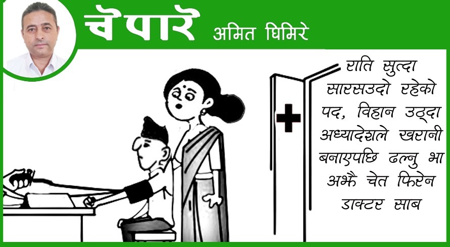 कार्टुन : अध्यादेशले पद खरानी भएपछि...