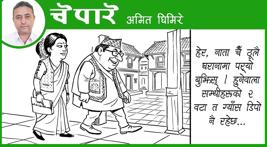 कार्टुन : ग्याँस डिपो सम्धी