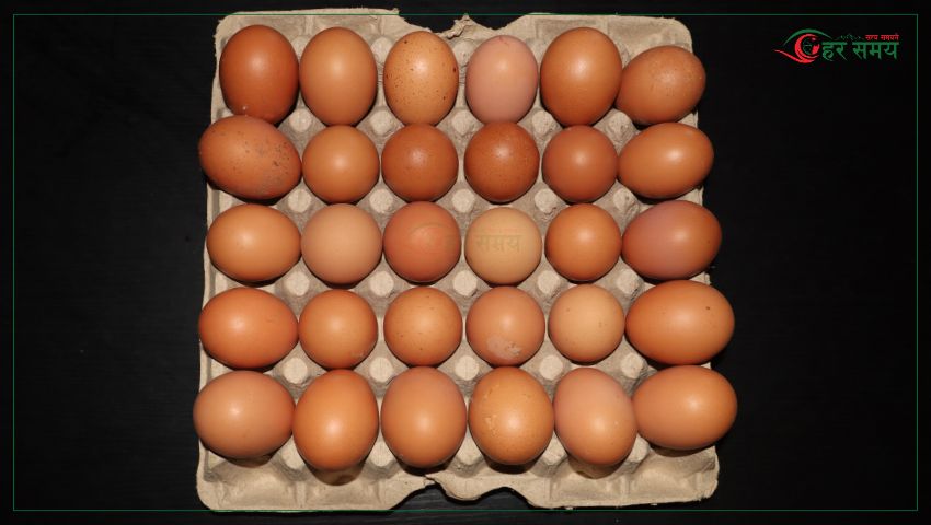 अण्डाको मूल्यमा वृद्धि
