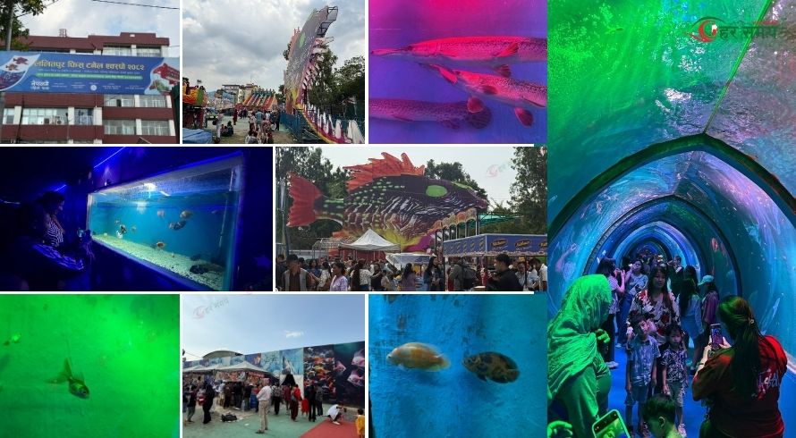 Fish-Expo--1-1746980290.jpg