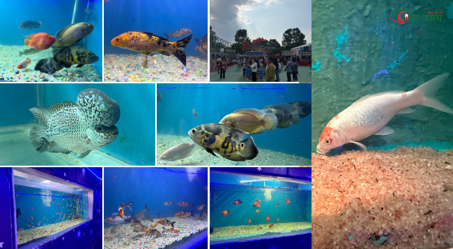 Fish-Expo--2-1746980291.png