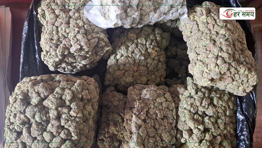 थाइल्यान्डको गाँजा तस्करीमा भारतीय गाडी प्रयोग, दुई भारतीय पक्राउ