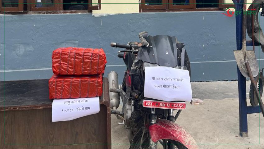 सर्लाहीमा १० किलो गाँजासहित युवक पक्राउ
