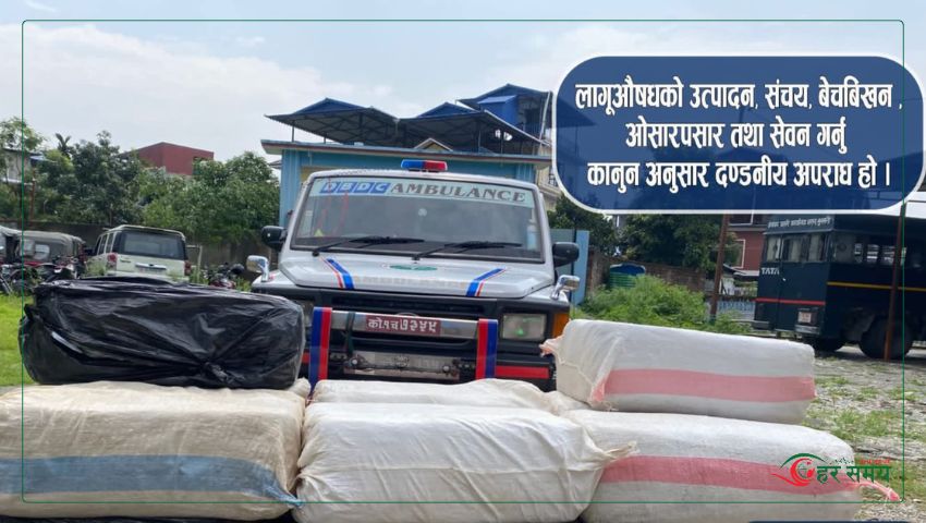 एम्बुलेन्समा करिब साढे चार सय किलो गाँजा फेला, चालक फरार