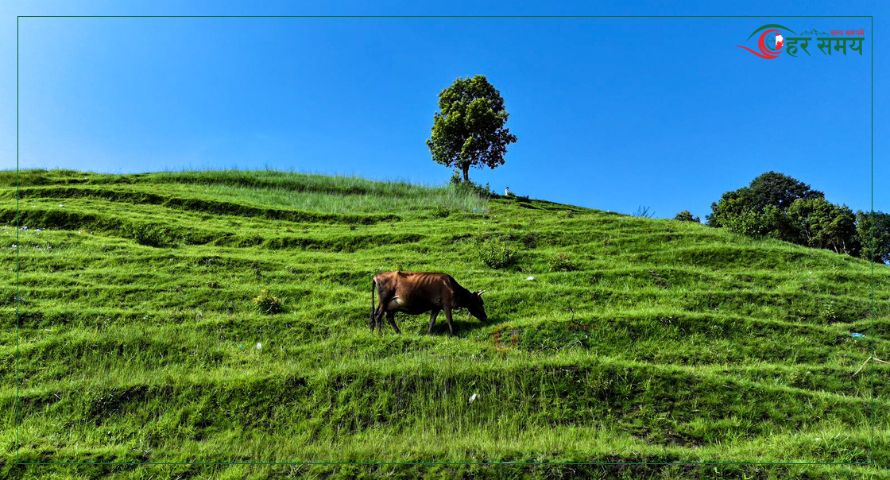 स्वर्ग जस्तै अनूभूति गराउने हेभन डाँडा (फोटो फिचर)