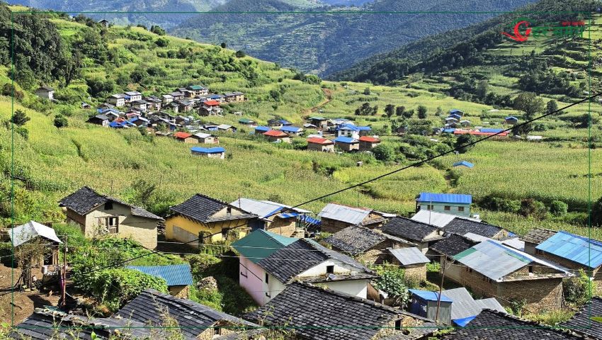 जाजरकोटका स्थानीयले जडिबुटीबाट भित्र्याए २९ करोडभन्दा बढी