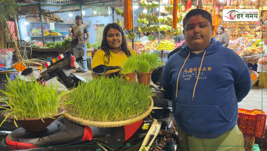 दशैंमा चम्किएको जमराको व्यापार