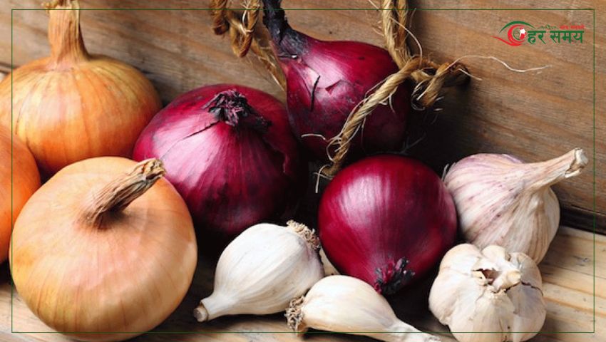 रुपामा एक लाख ७५ हजार किलो लसुन र प्याज उत्पादन गर्ने लक्ष्य