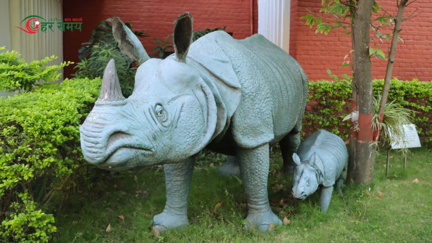 पुस २३ : एकसिङ्गे गैँडा