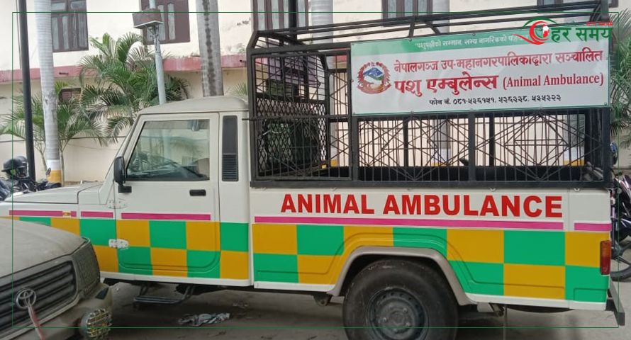 जनावरलाई उद्धारका लागि नेपालगञ्जमा ‘एनिमल एम्बुलेन्स’ सञ्चालन