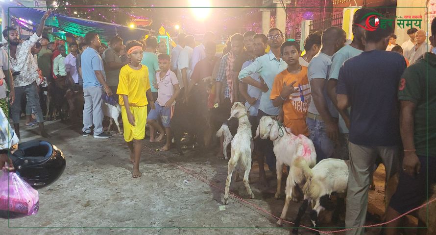 राजदेवी मन्दिरमा १४ हजार ९ सय ३ बोकाको बलि प्रदान