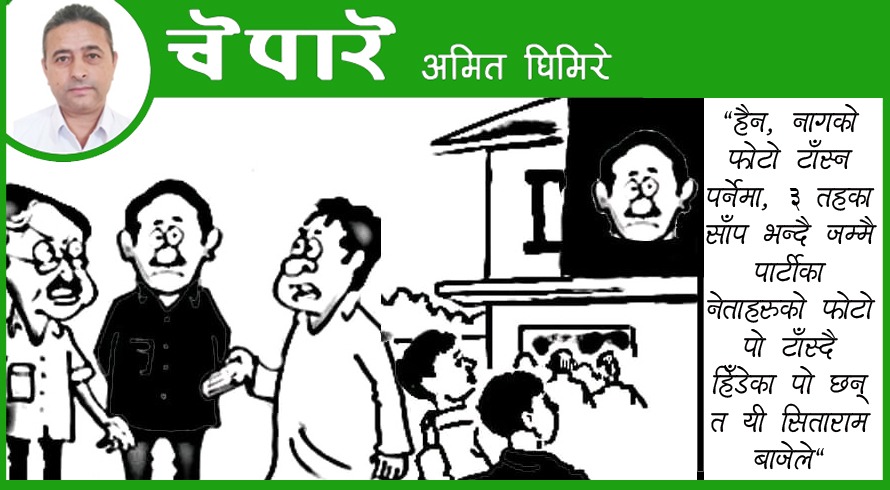 कार्टुन: नागको फोटो टाँस्न पर्नेमा तीन तहको सापको !