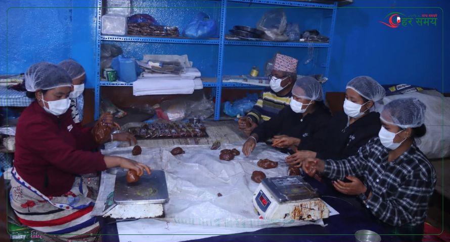 तराईबाट सख्खर ल्याएर परम्परा धान्दै टोखाका चाकु व्यवसायी