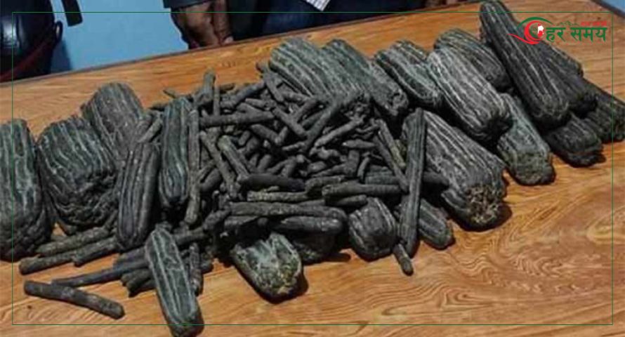 पर्सामा खेतबाट ५४ किलो चरेस बरामद
