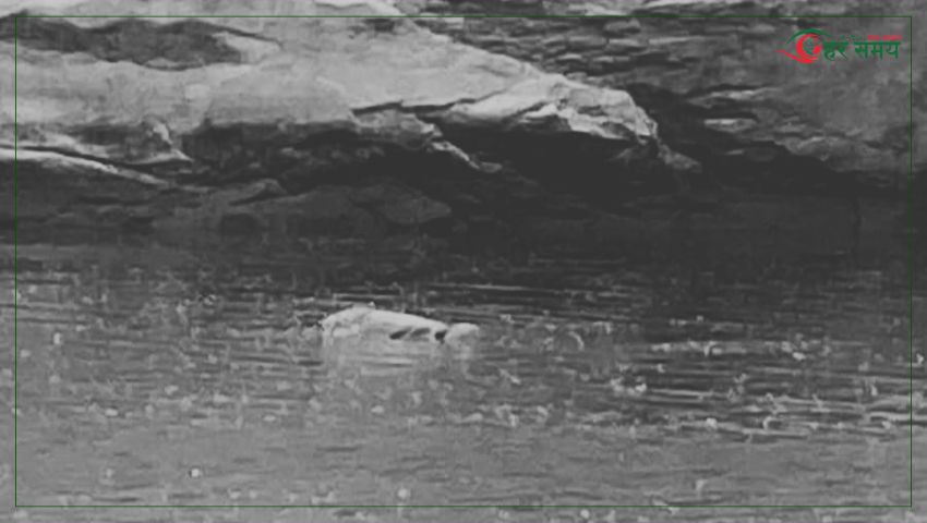 बागमती नदीमा बेपत्ता भएका स्याङ्तानको शव तीन दिनपछि फेला