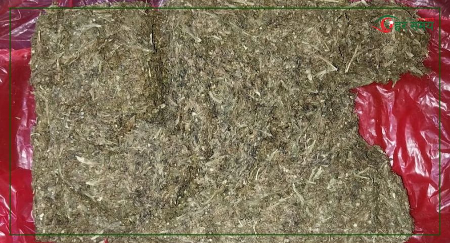सर्लाहीमा लुकाइ छिपाइ राखिएको गाँजासहित एक जना पक्राउ