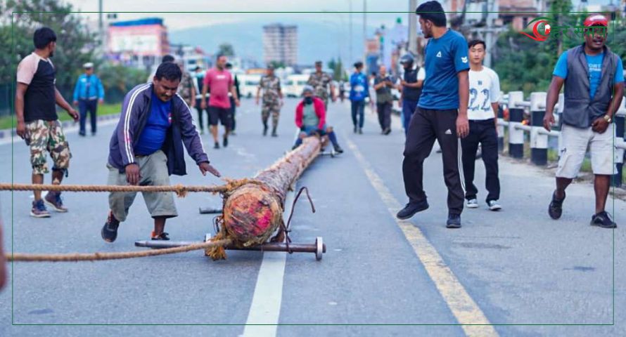 नालाबाट ल्याइएको यसिंलाई आज नगर प्रवेश गराई कालभैरव अगाडि राखिदैं