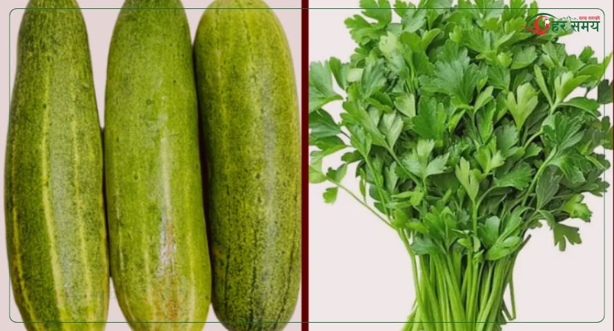 हरियो धनियाँ र काक्रोमा भेटियो अत्याधिक विषादी