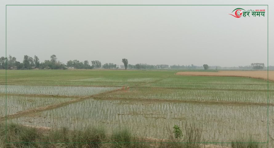 सुख्खा ग्रस्त मधेशमा बर्षाः कुन ठाउँमा कतिवर्षा भयो ?