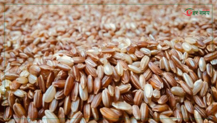 जुम्लाबाट एक वर्षमा तीन करोड बढीको मार्सी चामल बिक्री