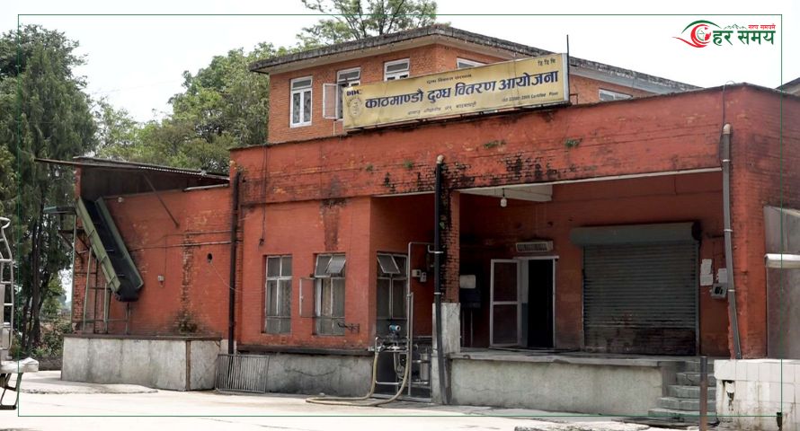 ६०० मेट्रिक टन दुग्ध पदार्थको मूल्य समायोजन गरेर बिक्री गर्दै डीडीसी [भिडियो]