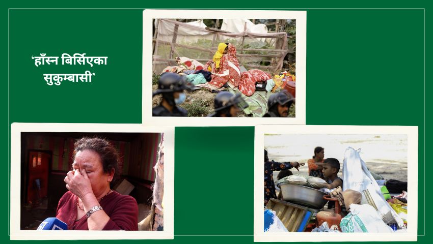 ‘हाँस्न बिर्सिएका सुकुम्बासी’
