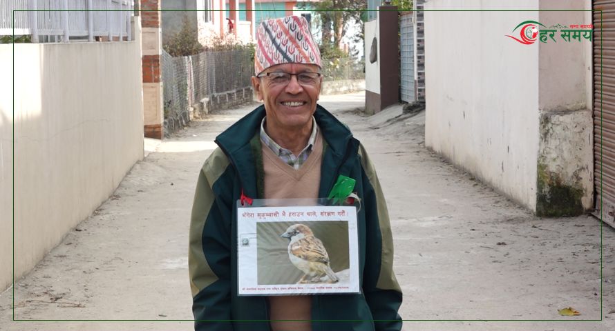 कीर्तिपुरका ‘भँगेरा बाजे’ : जो घर घरमा भँगेराको वासस्थान निर्माणमा सक्रिय छन्